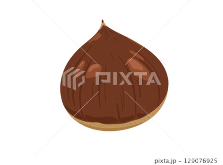 秋の味覚の栗のベクターイラスト 秋の味覚の栗のベクターイラスト 129076925