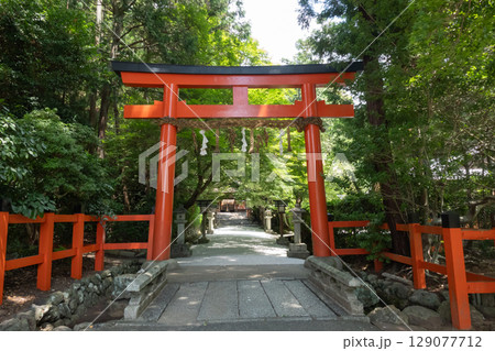 大田神社(京都府) 大田神社(京都府) 129077712