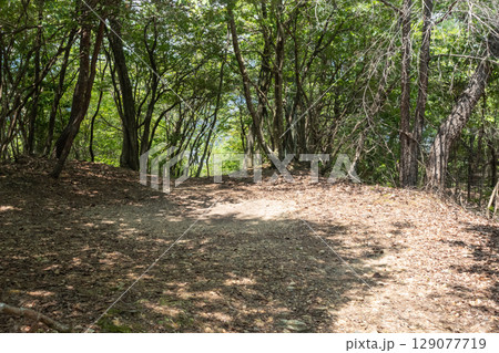 東山の山頂(京都府・宝が池公園) 東山の山頂(京都府・宝が池公園) 129077719