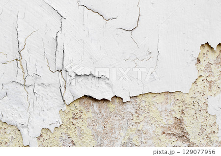 Light Gray Stucco Wall Texture. Abstract Background 129077956