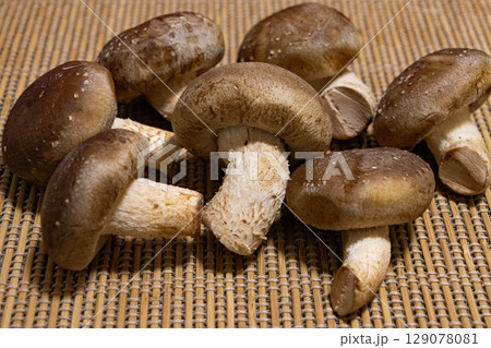 肉厚で丸々としたしいたけ 肉厚で丸々としたしいたけ 129078081