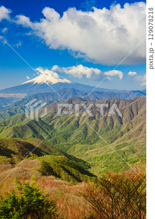 新緑に染まる山並みと雄大な富士山 新緑に染まる山並みと雄大な富士山 129078218