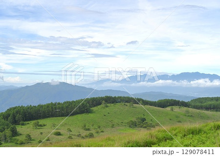 夏空と緑が広がる車山高原／長野県 129078411