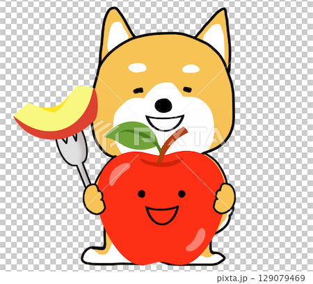 A happy Shiba Inu holding a delicious looking apple A happy Shiba Inu holding a delicious looking apple 129079469