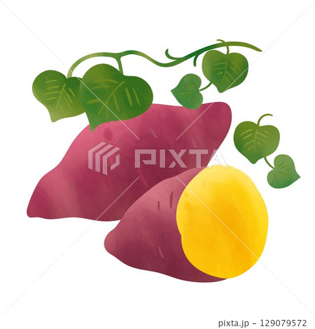 さつまいものカットイラスト 129079572