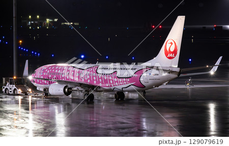 JTA B737^800赤サメ夜間タキシング 129079619