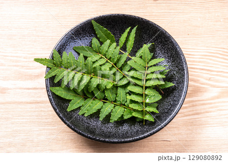 山椒の葉 129080892