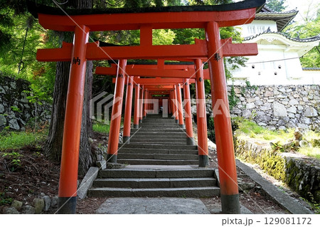 兵庫 出石 出石城 稲荷神社への参道鳥居と階段(初夏) 兵庫 出石 出石城 稲荷神社への参道鳥居と階段(初夏) 129081172