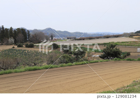 馬山丘陵 129081234