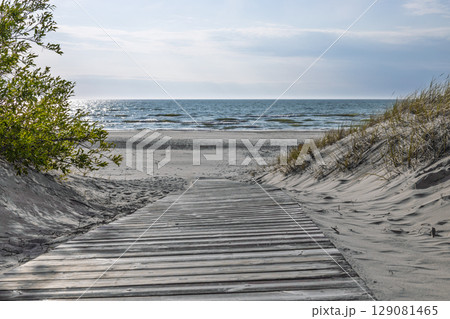 Wooden Boardwalk Through Baltic Sand Dunes Leading to Glittering Baltic Sea 129081465