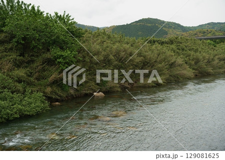 大雨で増水した川 129081625
