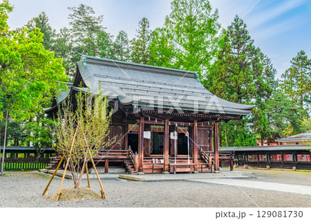 山形 上杉神社　本殿 129081730