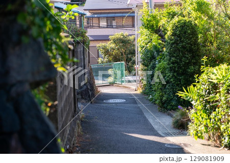 細い路地、路地裏、背戸道 細い路地、路地裏、背戸道 129081909
