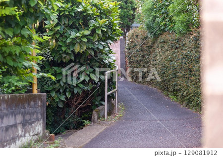 細い路地、路地裏、背戸道 129081912