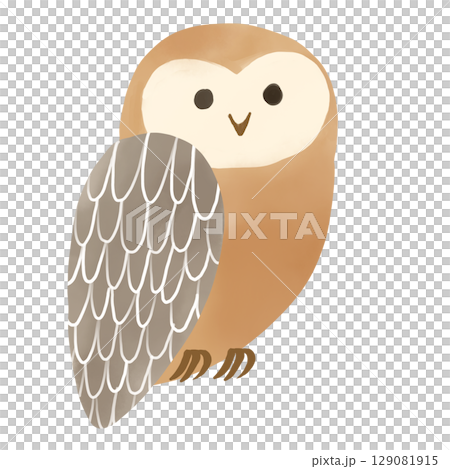 可愛蓬鬆的水彩貓頭鷹插圖 可愛蓬鬆的水彩貓頭鷹插圖 129081915