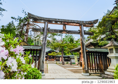 山形 上杉神社　参道の鳥居 129081963