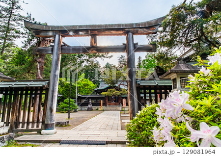 山形 上杉神社 参道の鳥居 山形 上杉神社 参道の鳥居 129081964