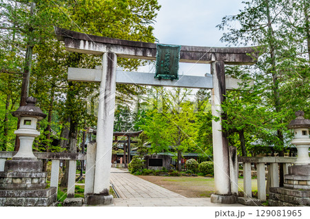 山形 上杉神社　参道の鳥居 129081965