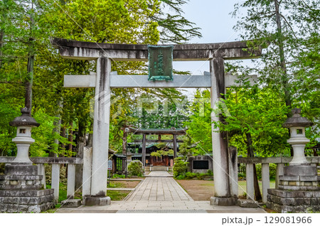 山形 上杉神社　参道の鳥居 129081966