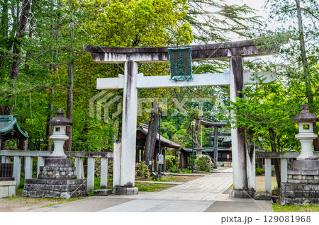 山形 上杉神社　参道の鳥居 129081968
