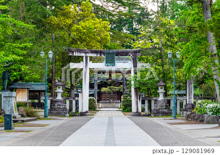 山形 上杉神社　参道の鳥居 129081969