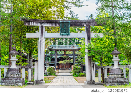 山形 上杉神社　参道の鳥居 129081972