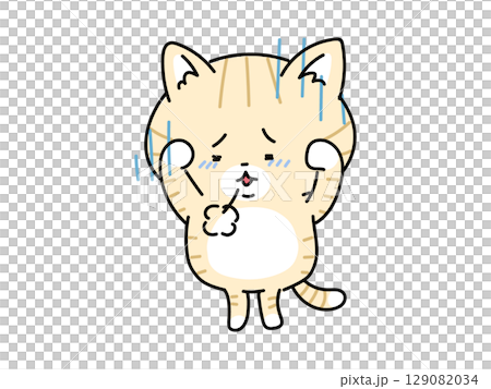 A cat holding its head and feeling depressed A cat holding its head and feeling depressed 129082034