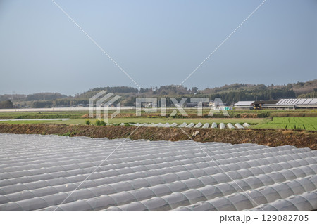 March 25 2025 A Spacious Agricultural Field with Row Covers, Japan 129082705