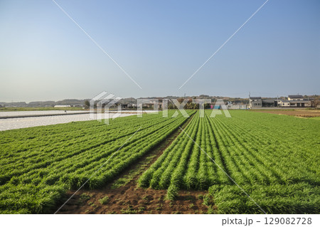 March 25 2025 Peaceful Urban Landscape with a River and Surrounding Architecture, Japan 129082728