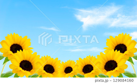 夏の青空とひまわりのある風景　写真画像背景　フレーム枠　さわやか夏 129084160