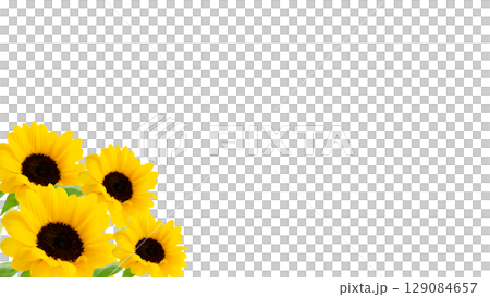 Yellow sunflower flower corner material background, photo image frame, cutout, transparent PNG 129084657