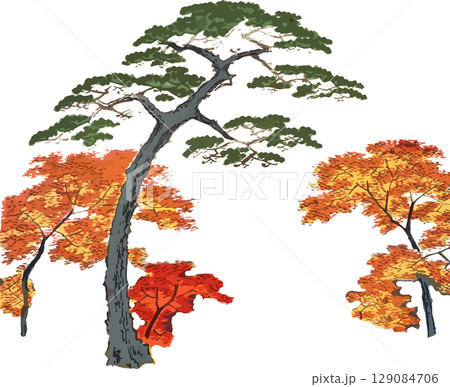 秋の紅葉と松の浮世絵素材 秋の紅葉と松の浮世絵素材 129084706