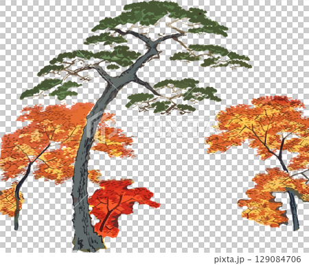 秋の紅葉と松の浮世絵素材 秋の紅葉と松の浮世絵素材 129084706
