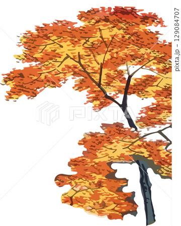 もみじの浮世絵素材 もみじの浮世絵素材 129084707