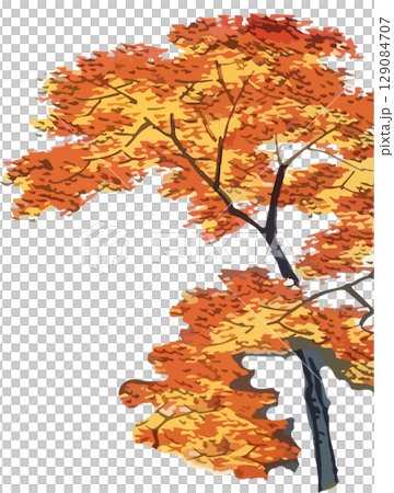 もみじの浮世絵素材 もみじの浮世絵素材 129084707