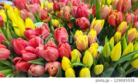 Bright colorful background of red and yellow tulips Bright colorful background of red and yellow tulips 129085038
