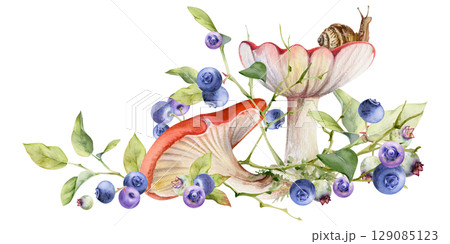 Russula webcap mushroom, snail on top, blueberry blackberry berries twigs branches. Forest woodland ecosystem habitat scene. Illustration hand drawn in watercolor. Foraging logbooks, nature posters 129085123