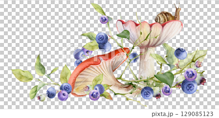 Russula webcap mushroom, snail on top, blueberry blackberry berries twigs branches. Forest woodland ecosystem habitat scene. Illustration hand drawn in watercolor. Foraging logbooks, nature posters 129085123