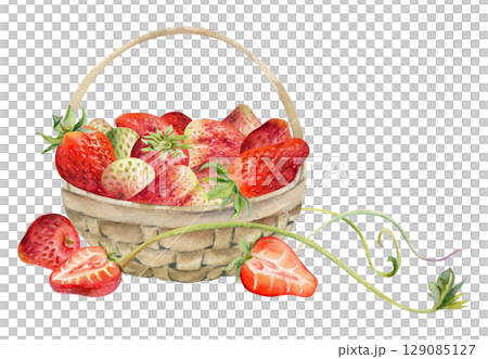 Strawberry in weaved basket with leaves tendrils, hand drawn in watercolor, ripe picked garden berry harvest heap, pineberry strasberry. Isolated illustration. Restaurant menu, farmers market grocery 129085127