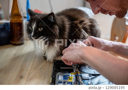 Curious cat watching man repair laptop at home, teamwork concept with pet Curious cat watching man repair laptop at home, teamwork concept with pet 129085195