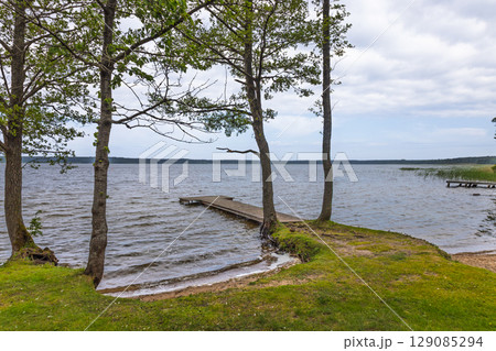 Wooden Pier Extends from Grassy Latvian Lake Shore through Pines toward Calm Water Horizon Wooden Pier Extends from Grassy Latvian Lake Shore through Pines toward Calm Water Horizon 129085294
