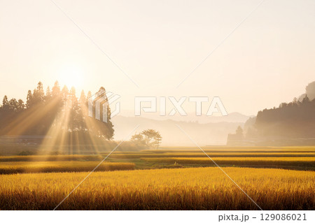 日本の田園風景 129086021