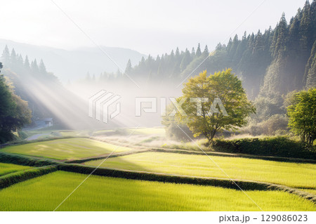 日本の田園風景 129086023
