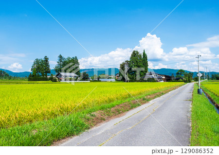 夏の田舎風景 129086352