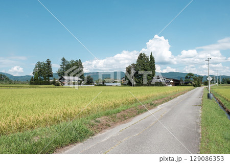 夏の田舎風景 夏の田舎風景 129086353