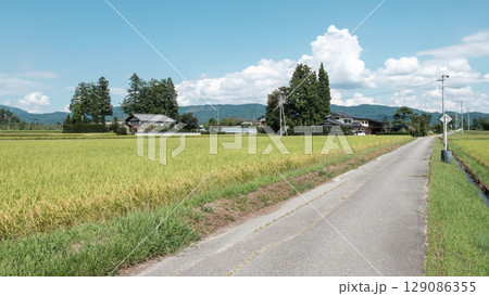 夏の田舎風景 129086355