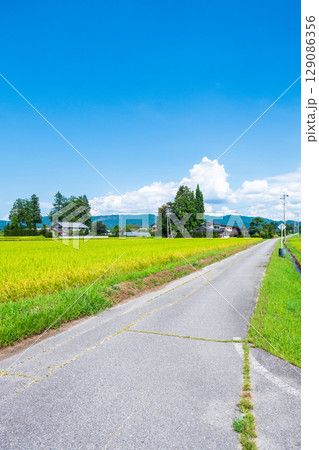 夏の田舎風景 129086356