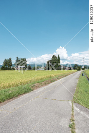 夏の田舎風景 129086357