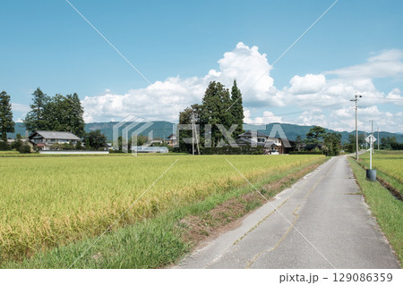 夏の田舎風景 129086359