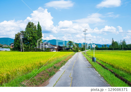 夏の田舎風景 夏の田舎風景 129086371